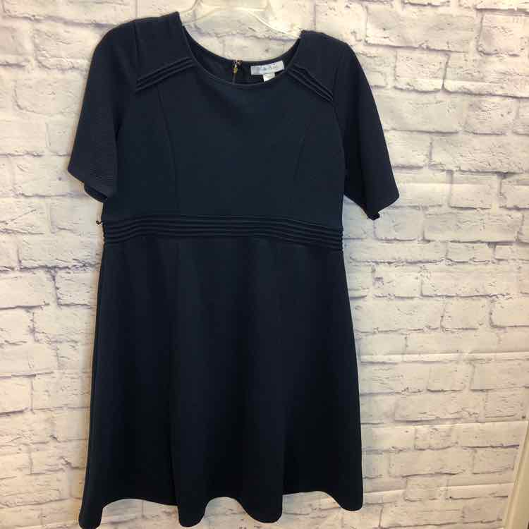 Motherhood Navy Size L Maternity Dress