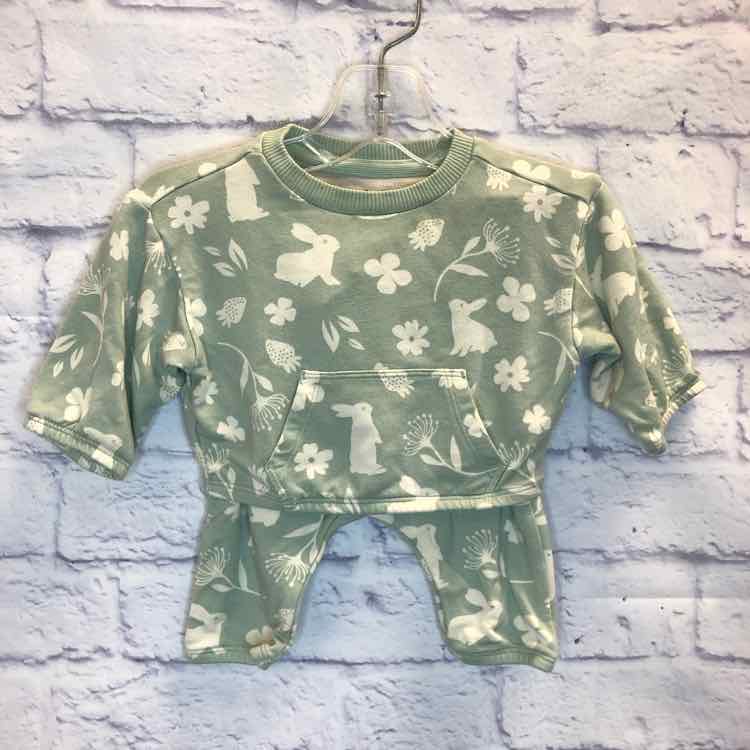 Cloud Island Green Size 0-3 Months Girls 2 Piece Outfit