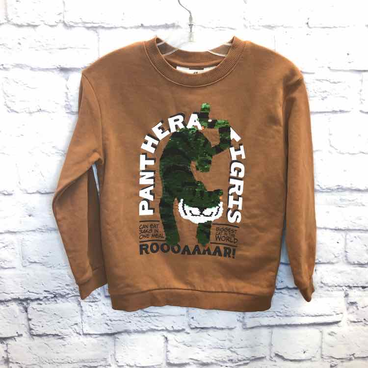 H&M Brown Size 5 Boys Sweatshirts/Hoodie