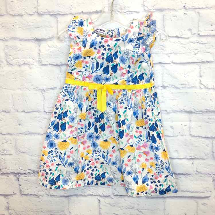 Blueberi Blvd Floral Size 3T Girls Dress