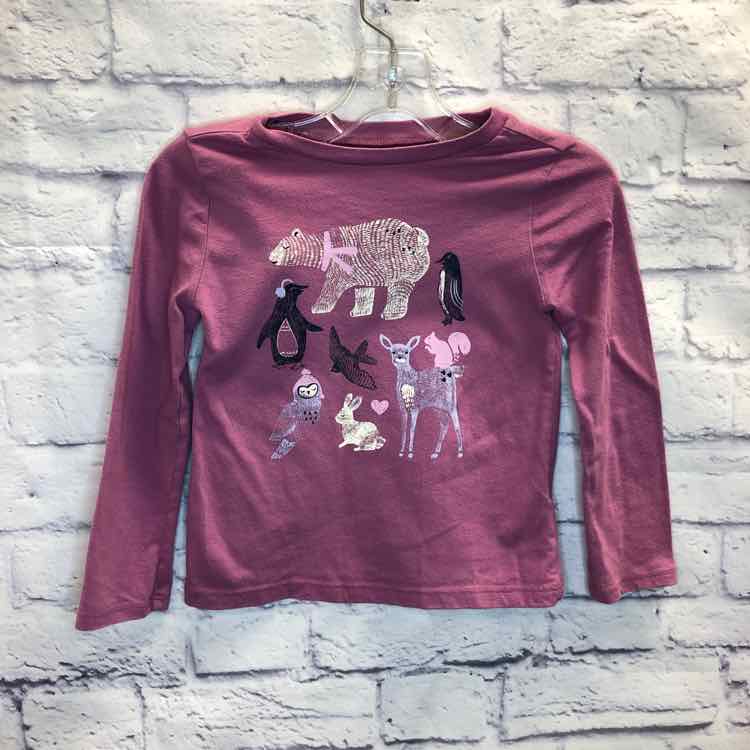 Oshkosh Purple Size 4T Girls Long Sleeve Shirt