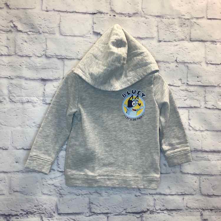 Bluey Gray Size 3T Boys Sweatshirts/Hoodie
