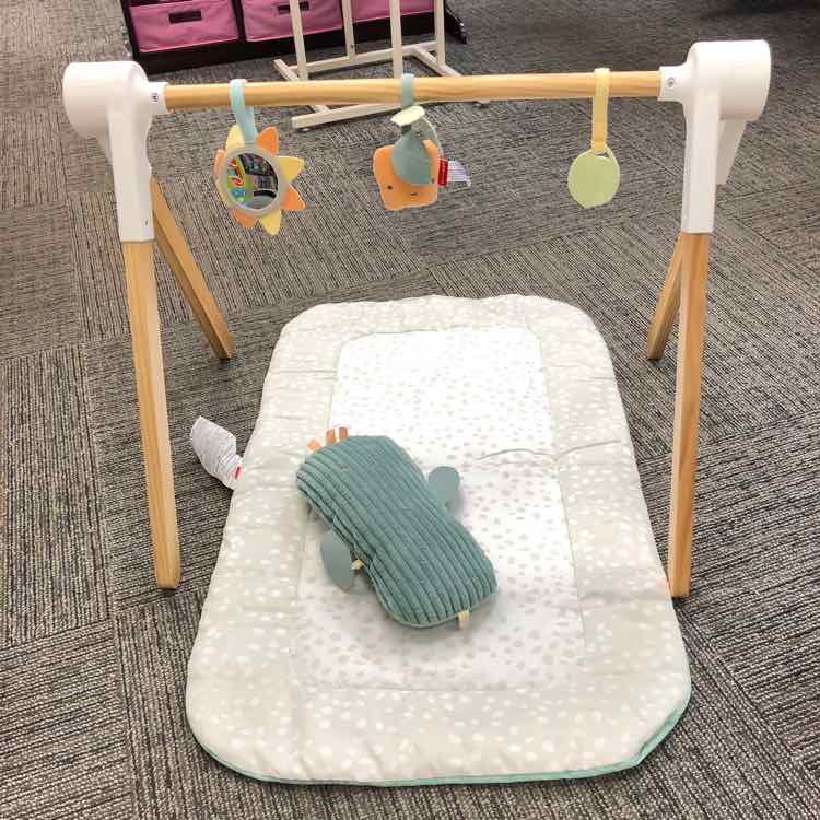 Skip Hop Garden Oasis Activity Gym