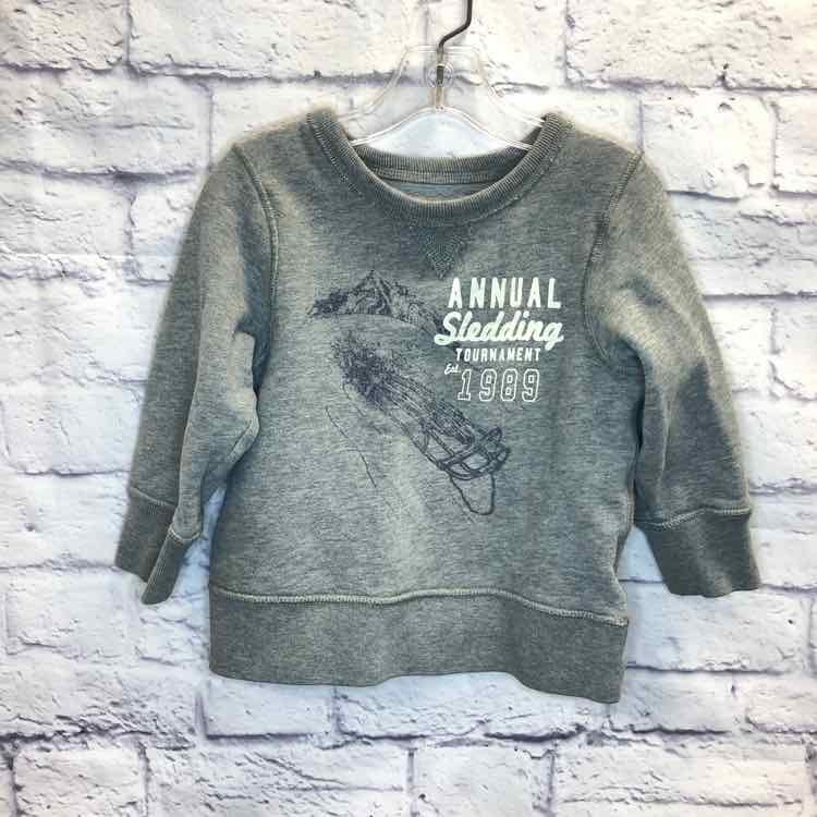 Childrens Place Gray Size 3T Boys Sweatshirts/Hoodie