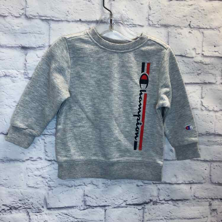 Champion Gray Size 2T Boys Sweatshirts/Hoodie