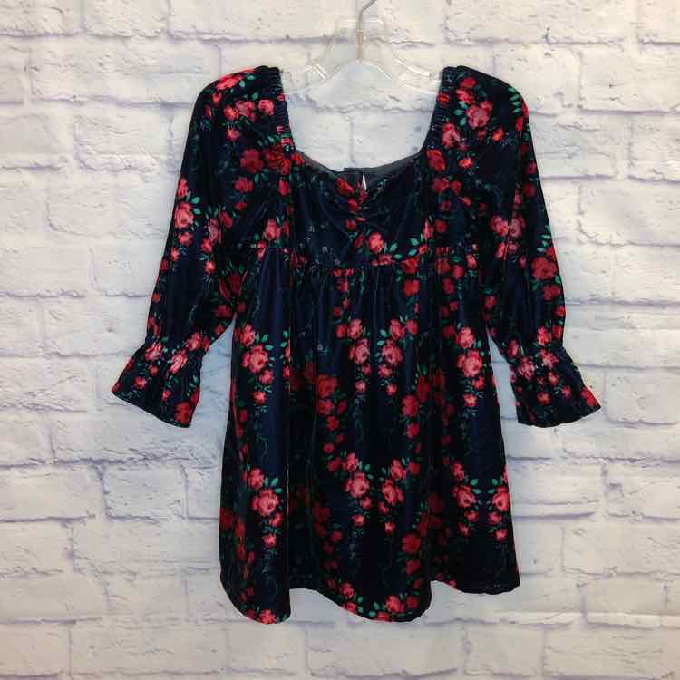 Janie & Jack Floral Size 5 Girls Dress