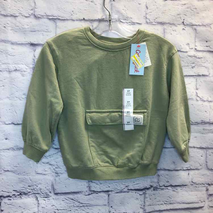 Cat & Jack Green Size 3T Boys Sweatshirts/Hoodie