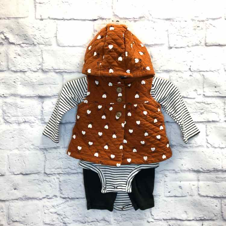 Carters Brown Size 6 Months Girls 3 Piece Outfit