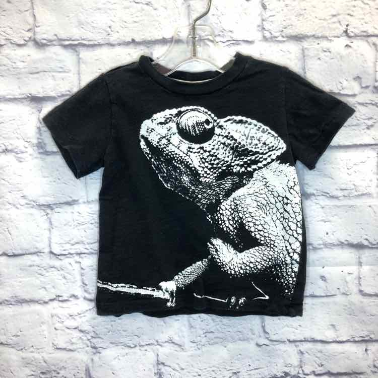 Carters Black Size 24 Months Boys Short Sleeve Shirt