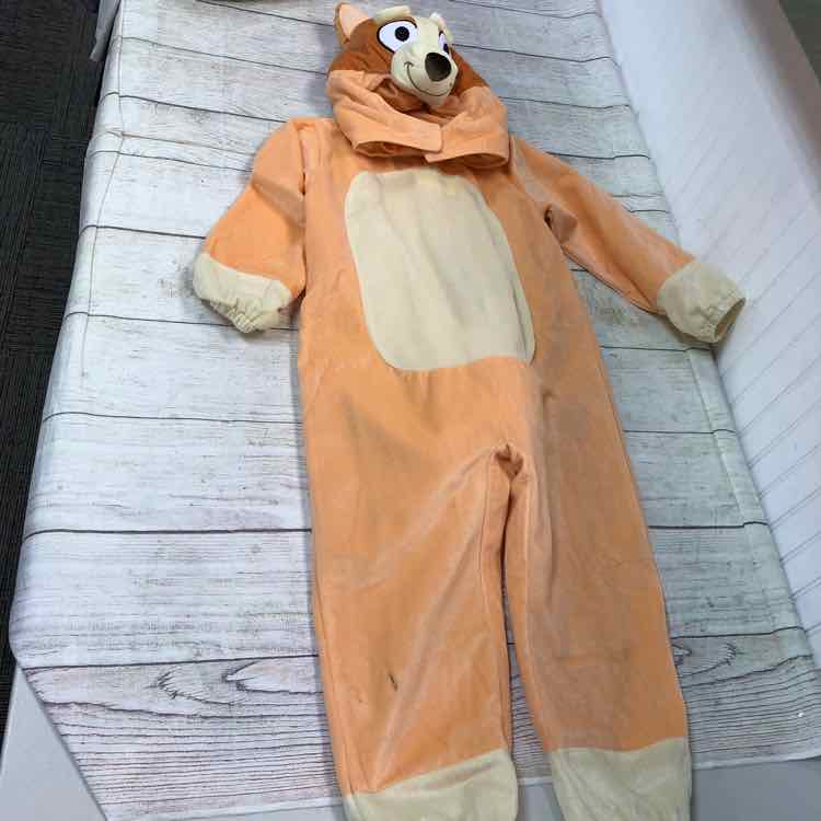 Bluey Size 4T Bingo Halloween Costume