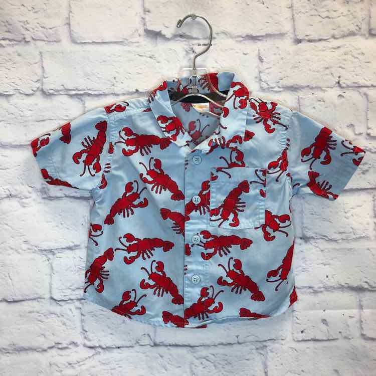 Gymboree Blue Size 6-12 months Boy Polo or Button Down