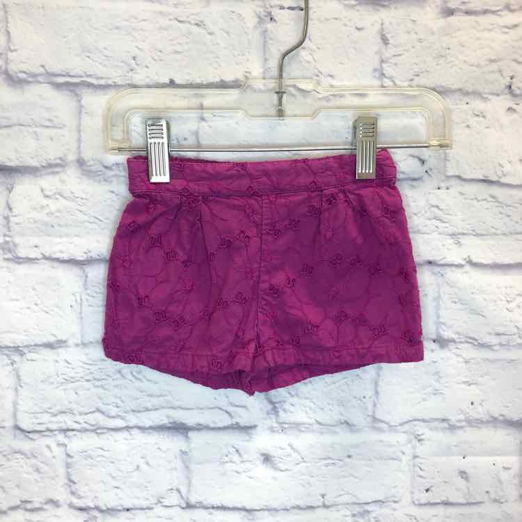 Gap Purple Size 3-6 Months Girls Shorts