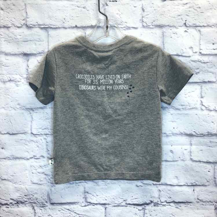 Rorie Whelan Gray Size 2T Boys Short Sleeve Shirt