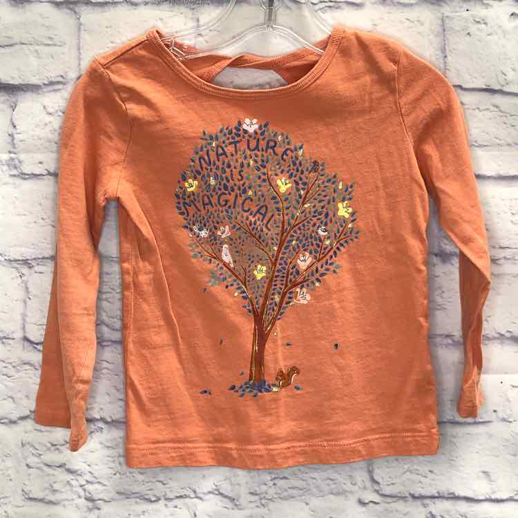 Carters Orange Size 3T Girls Long Sleeve Shirt
